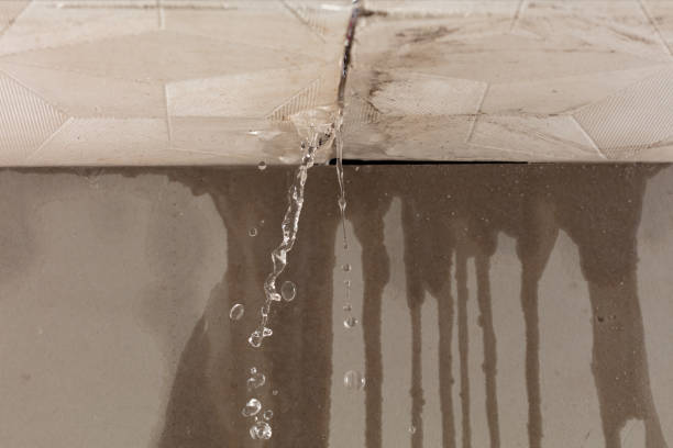 Professional Burst Pipe Cleanup technician working in Waltham, MA